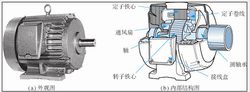 感應(yīng)電動(dòng)機(jī)的外觀及內(nèi)部結(jié)構(gòu)